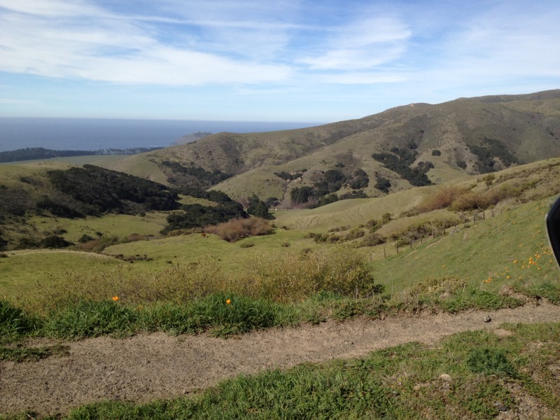 Name:  BigSur311.jpg
Views: 3010
Size:  169.4 KB