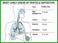 -cf-particle-size-breathable.jpg