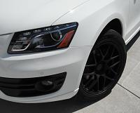 honestly, why did you choose the RDX over Audi Q5 2.0T-dscf0532-copy.jpg