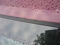 Worn windshield weatherstripping-accura-weatherstrip.jpg
