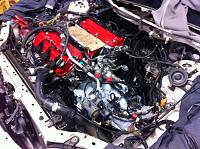 99 TL J32 A2 Engine &amp; 6 Speed Trans Swap Complete!-engine-just-.jpg