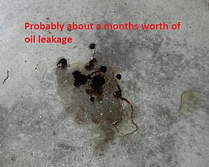 oil leak - need suggestions-f0885.jpg