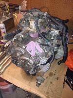 2002 TL Junkyard Transmission-image-19.jpg