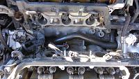 Front vs Rear Valve Condition-99-acura-tl2-timing-belt-2.jpg