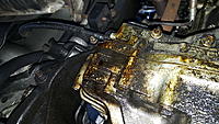 Oil leak on 99' TL (Pics)-trans1.jpg