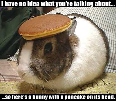 Name:  bunny-pancake.jpg
Views: 3418
Size:  37.4 KB
