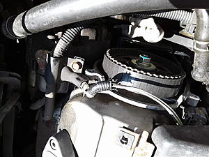 Inspected timing belt not sure if I should replace it?-20171008_142920.jpg
