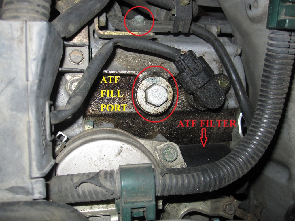 2005 honda pilot transmission filter