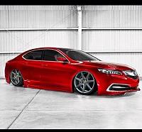 Will TLX Be Your Next Car?-1509951_10201553545383859_328118503_n.jpg