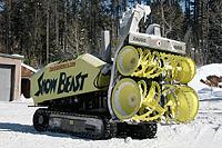 Do our mirrors fold in?-snow-beast2.jpg
