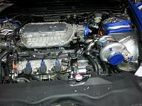 Turbo build 2009 tsx k24z3-eeeeeeeeeeeeeeeeeeeeeee.jpg