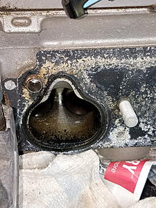 Absolutely disgusting intake manifold-20170902_140817_resize.jpg