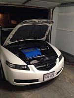 Got WDP - White Diamond Pearl?-acuratlengine.jpg