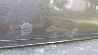 Trunk Rust Bubbles!-trunk.jpg