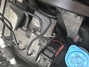 06 TL Engine Help!-img_2655.jpg