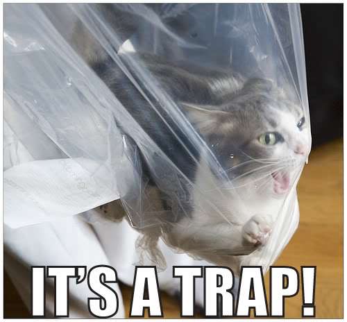 Name:  plastic_bag_trap_cat.jpg
Views: 785
Size:  25.5 KB