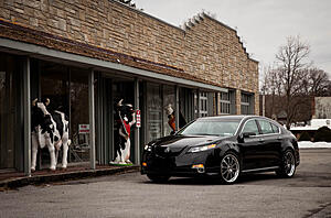 Alexander's 2010 TL SH-AWD Tech-kzwqw1l.jpg