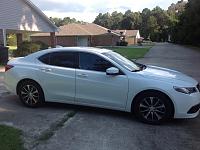 2015 Bellanova White/Espresso TLX V6 - Tint Opinions-image.jpg