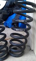 FS H&amp;R sport springs-h-r4.jpg