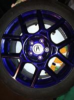 Concord Royal Purple Waffles..&amp; Aspec wheel-10696195_10154806640375304_372839319905012362_n.jpg