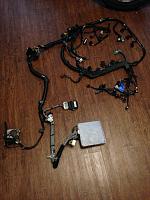 MT Wiring harness-img_5990.jpg