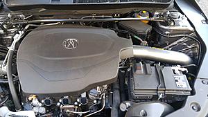 AEM CAI for Acura TLX V6-tlx-aem-intake.jpg