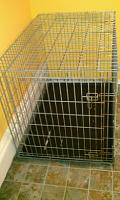 Large Foldable Dog Crate/Cage 42L x 28W x 31H 4Sale for  out of Queens, NY!!-lrg-dog-crate-2.jpg