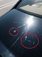 New (to me) used car, best DIY treatment for blemishes?-audi-top-trunk.jpg