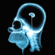 johnnydents's Avatar