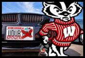 Wisc Badger's Avatar