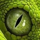 snake212's Avatar