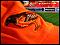 SportsJunkie's Avatar